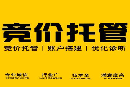 数据分析助力信息流广告：某品牌成功案例揭秘